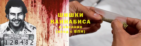 гидра Верхний Тагил