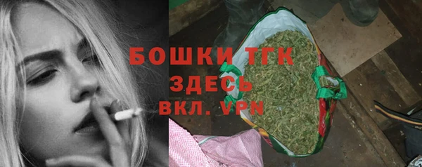 гидра Верхний Тагил