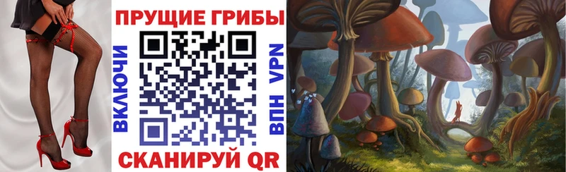 продажа наркотиков  Барнаул  Галлюциногенные грибы Psilocybine cubensis 